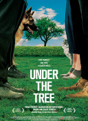 魔域之王中的PVP玩法：挑战极限的瞬间